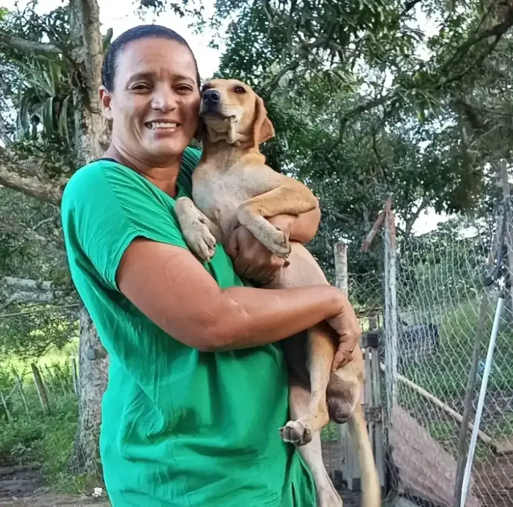Save Dog Shelter