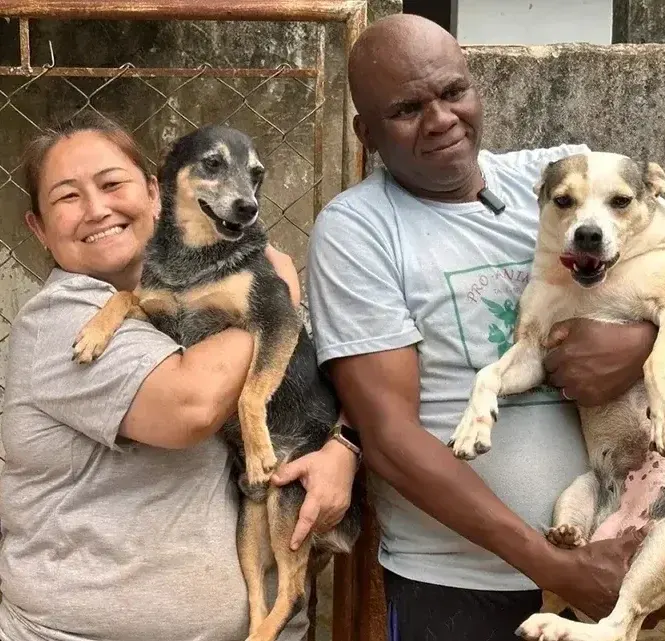Susan Pet Rescue